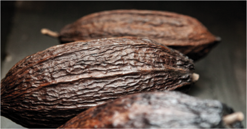 chocolate making
