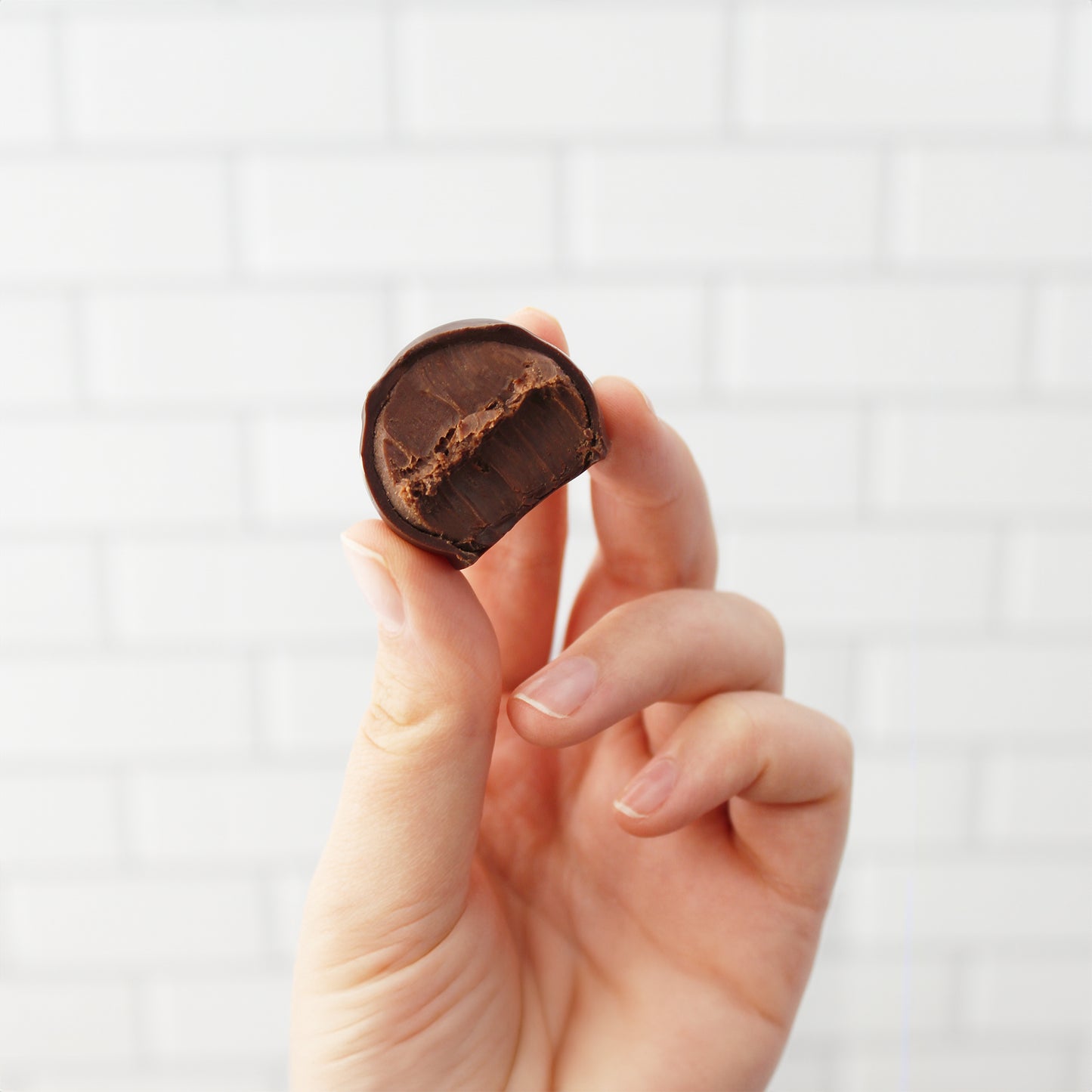 truffle chocolate