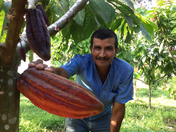 The Chocolate Resurgence