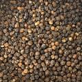 Black pepper