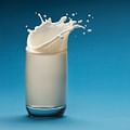 milk