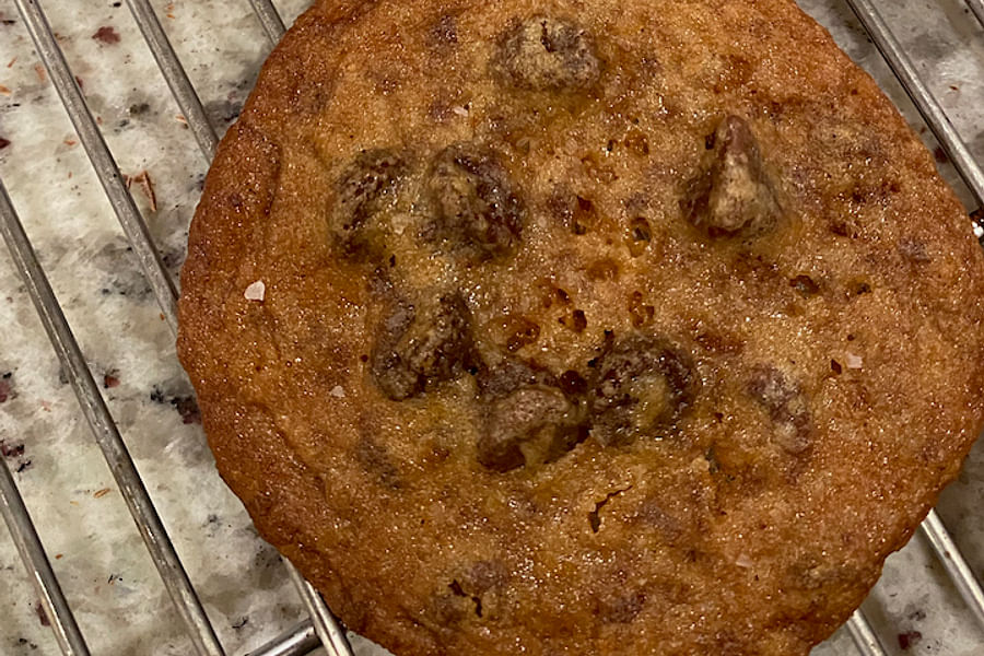 Malted Chocolate Chip Cookies