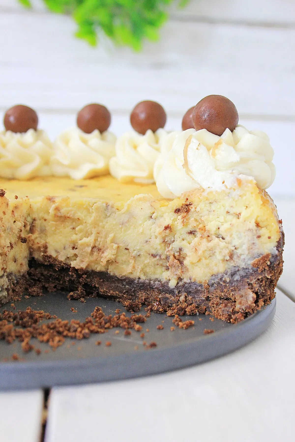 No-Bake Malted Chocolate Cheesecake