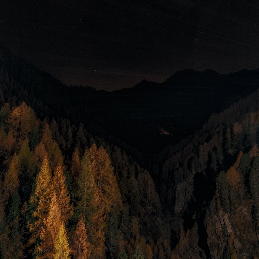 Assorted collection of dark and milk chocolates