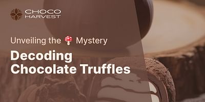 Decoding Chocolate Truffles - Unveiling the 🍄 Mystery