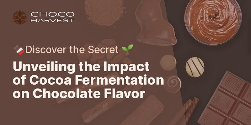 Unveiling the Impact of Cocoa Fermentation on Chocolate Flavor - 🍫Discover the Secret 🌱