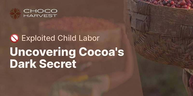 Uncovering Cocoa's Dark Secret - 🚫 Exploited Child Labor