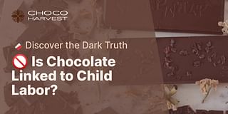 🚫 Is Chocolate Linked to Child Labor? - 🍫 Discover the Dark Truth