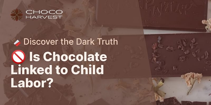 🚫 Is Chocolate Linked to Child Labor? - 🍫 Discover the Dark Truth