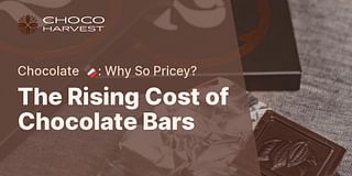 The Rising Cost of Chocolate Bars - Chocolate 🍫: Why So Pricey?