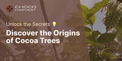 Discover the Origins of Cocoa Trees - Unlock the Secrets 💡