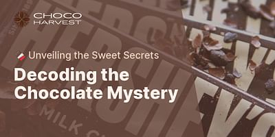 Decoding the Chocolate Mystery - 🍫 Unveiling the Sweet Secrets