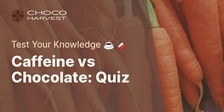 Caffeine vs Chocolate: Quiz - Test Your Knowledge ☕🍫
