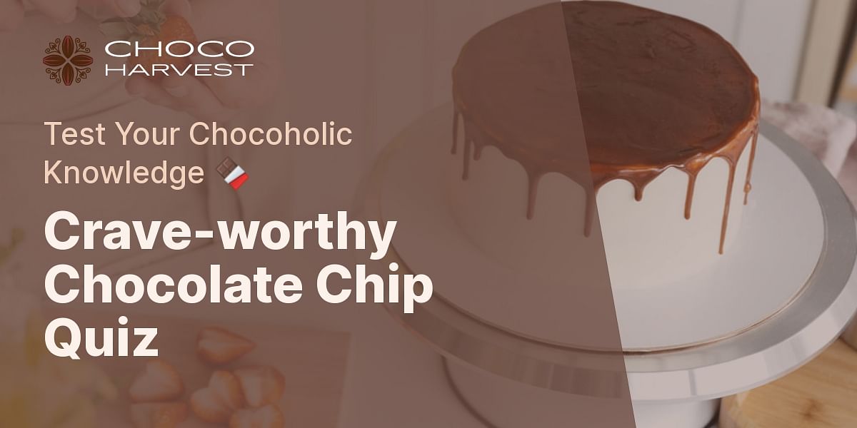 Melting Chocolate Chips Quiz Test Your Knowledge Choco Harvest
