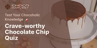 Crave-worthy Chocolate Chip Quiz - Test Your Chocoholic Knowledge 🍫