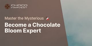 Become a Chocolate Bloom Expert - Master the Mysterious 🍫