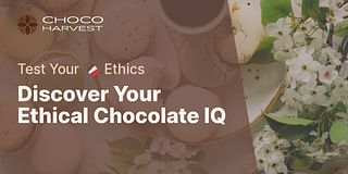 Discover Your Ethical Chocolate IQ - Test Your 🍫 Ethics