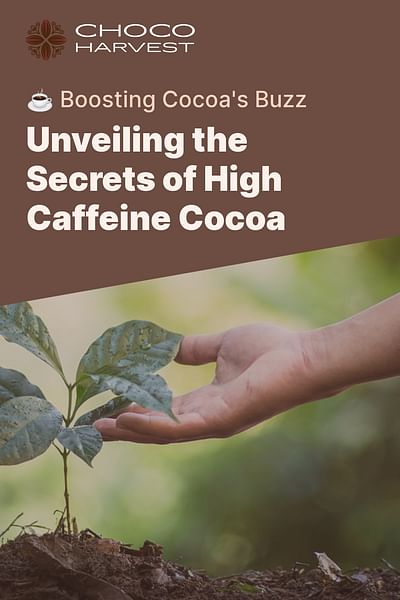 Unveiling the Secrets of High Caffeine Cocoa - ☕ Boosting Cocoa's Buzz