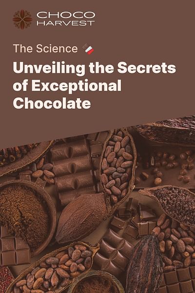 Unveiling the Secrets of Exceptional Chocolate - The Science 🍫