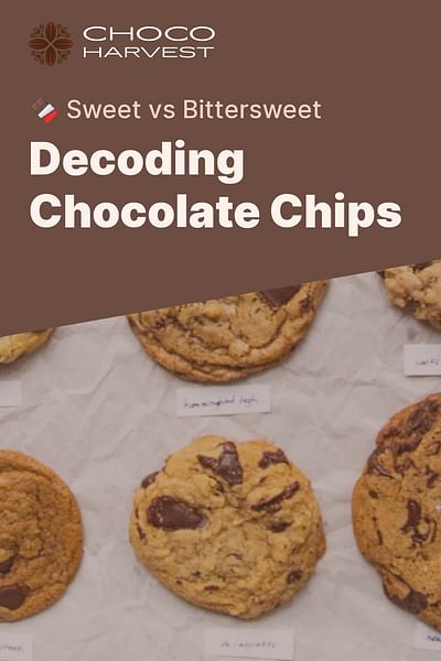 Decoding Chocolate Chips - 🍫 Sweet vs Bittersweet