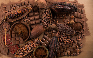 What Factors Contribute to the Quality of Great Chocolate?